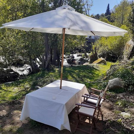 Quinta Dos Carvalhos The Wine House Farm In Center Of Lamego - Capital Of The Douroヴィラ エクステリア 写真