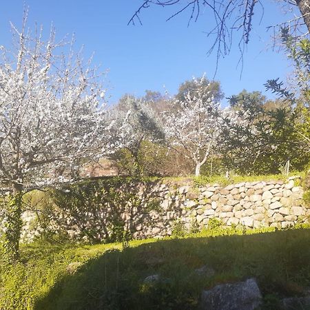 Quinta Dos Carvalhos The Wine House Farm In Center Of Lamego - Capital Of The Douroヴィラ エクステリア 写真