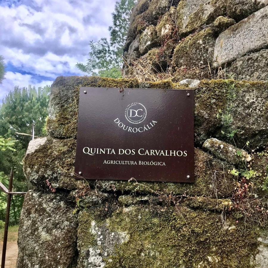 Quinta Dos Carvalhos The Wine House Farm In Center Of Lamego - Capital Of The Douroヴィラ エクステリア 写真