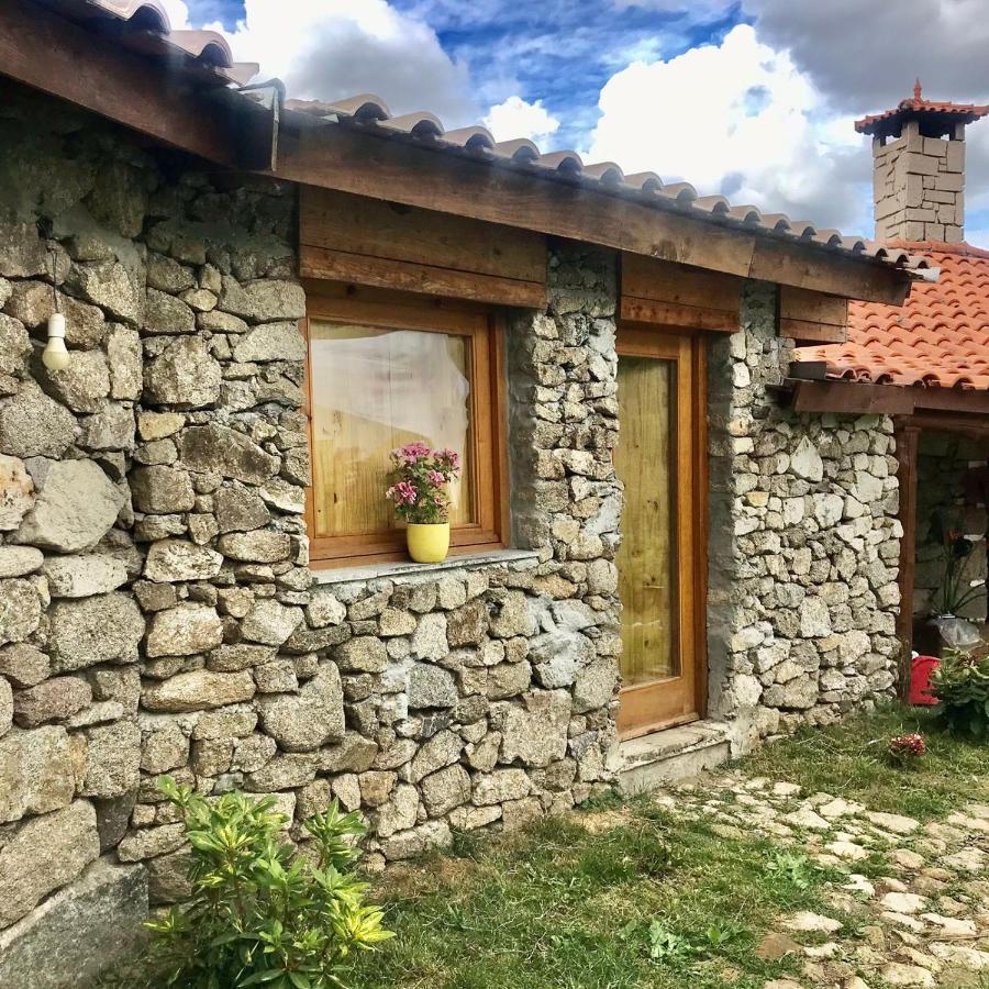 Quinta Dos Carvalhos The Wine House Farm In Center Of Lamego - Capital Of The Douroヴィラ エクステリア 写真