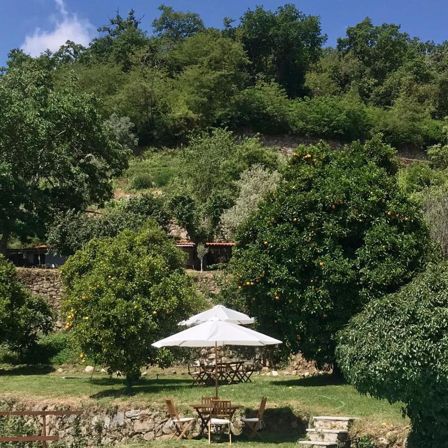 Quinta Dos Carvalhos The Wine House Farm In Center Of Lamego - Capital Of The Douroヴィラ エクステリア 写真