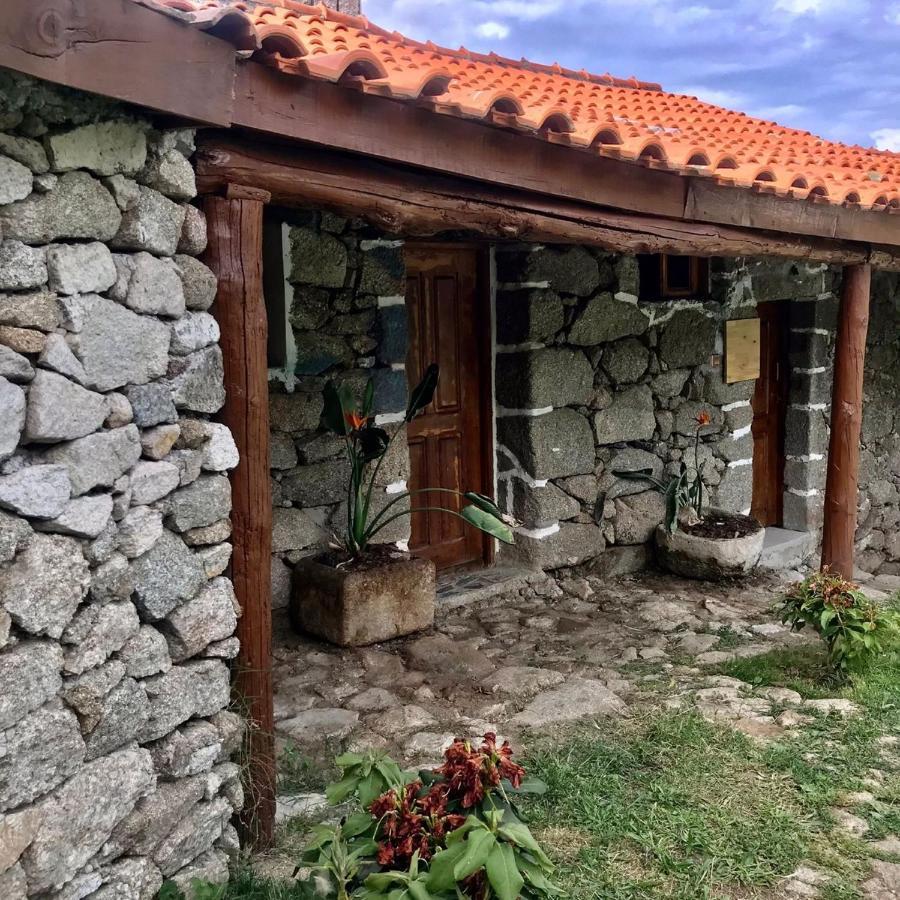 Quinta Dos Carvalhos The Wine House Farm In Center Of Lamego - Capital Of The Douroヴィラ エクステリア 写真