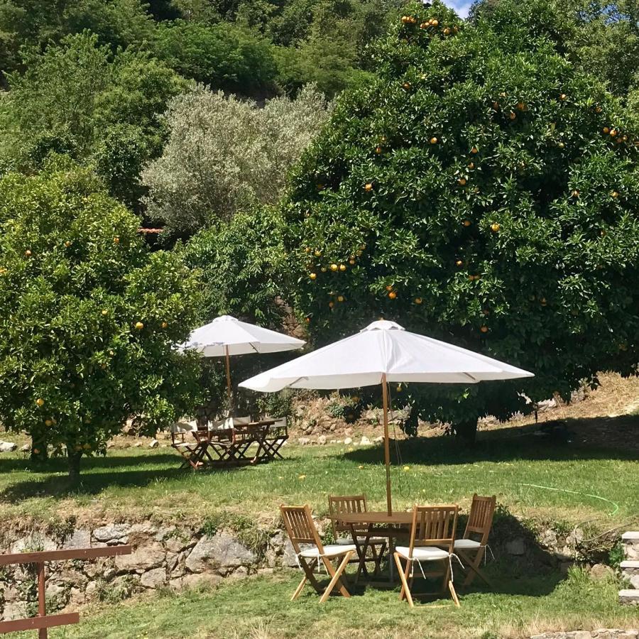 Quinta Dos Carvalhos The Wine House Farm In Center Of Lamego - Capital Of The Douroヴィラ エクステリア 写真