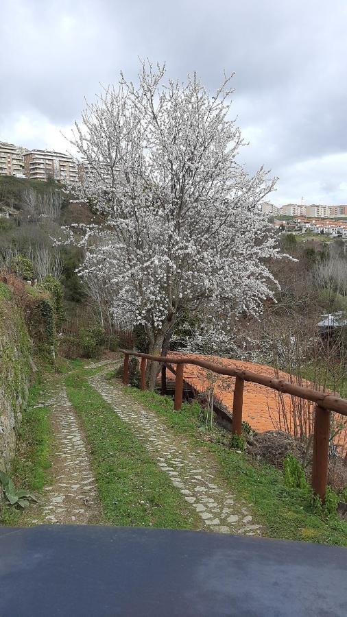 Quinta Dos Carvalhos The Wine House Farm In Center Of Lamego - Capital Of The Douroヴィラ エクステリア 写真