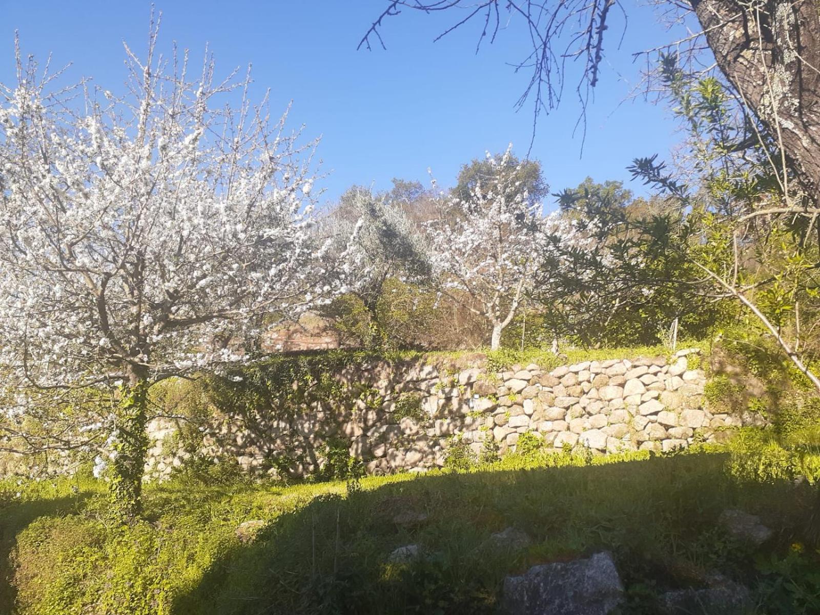 Quinta Dos Carvalhos The Wine House Farm In Center Of Lamego - Capital Of The Douroヴィラ エクステリア 写真